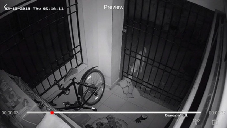 Her Gece Aynı Eve Gelen Hırsız, Gizli Kameralara Yakalandı