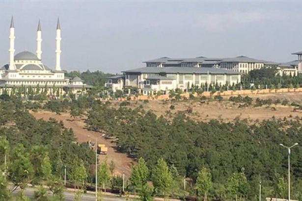 KAÇAK SARAY’DA AĞAÇ KATLİAMI!