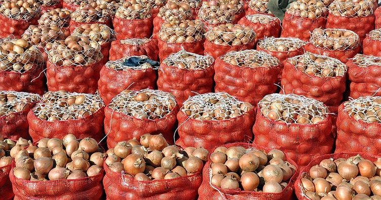 YİĞİT MUHTAÇ OLMUŞ KURU SOĞANA