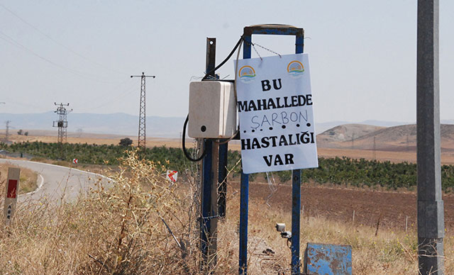 ANKARA’DA ŞARBON PANİĞİ