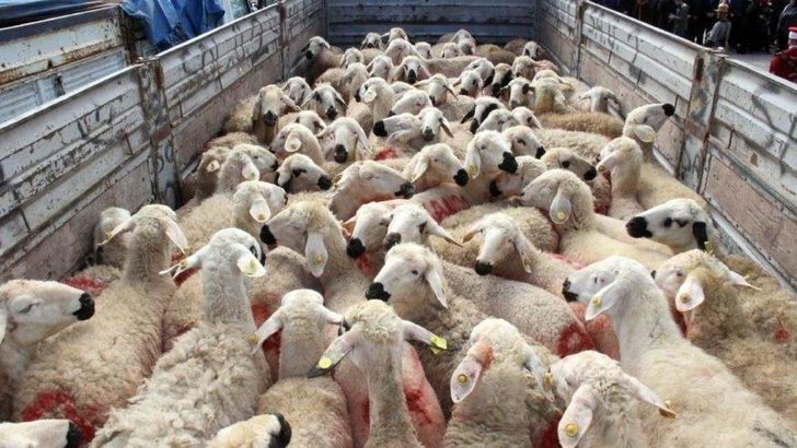 TARIM VE ORMAN BAKANLIĞINDAN AÇIKLAMA!