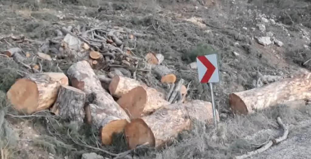 KARAMAN’DA YOL ÇALIŞMASI NEDENİYLE  ÜÇ ASIRLIK AĞAÇLAR KESİLDİ