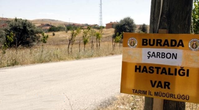 BİTLİS’TE ŞARBON KARANTİNASI : 100’DEN FAZLA HAYVAN TELEF OLDU