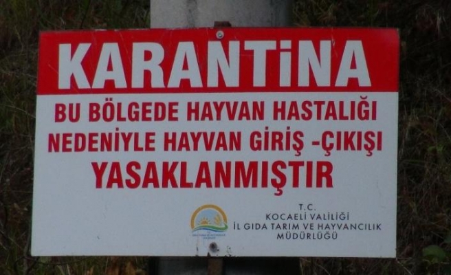 KOCAELİ’NDE ŞARBON ALARMI