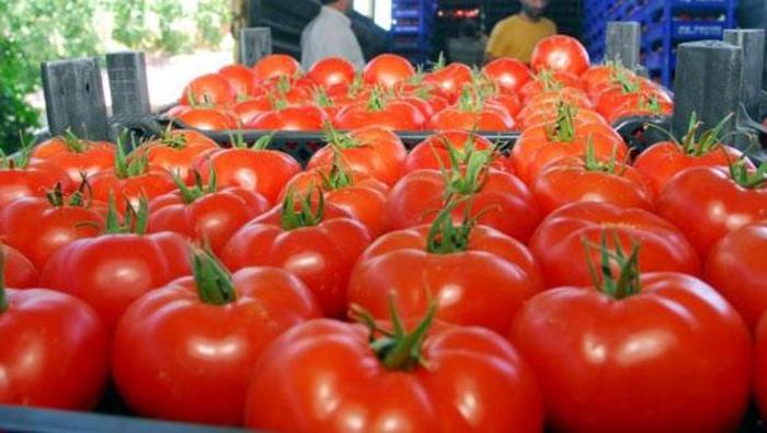 MARKET VURGUNU:TARLADAN ALIP YÜZDE 250 ZAMLA RAFA KOYUYORLAR