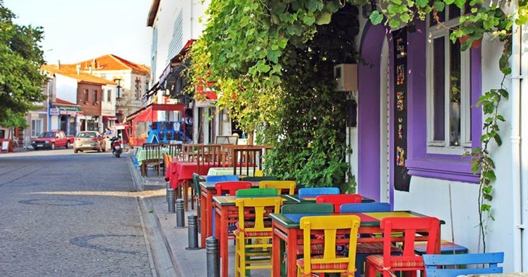 BOZCAADA’DA BAĞCILIĞI BİTİRECEK KARAR!