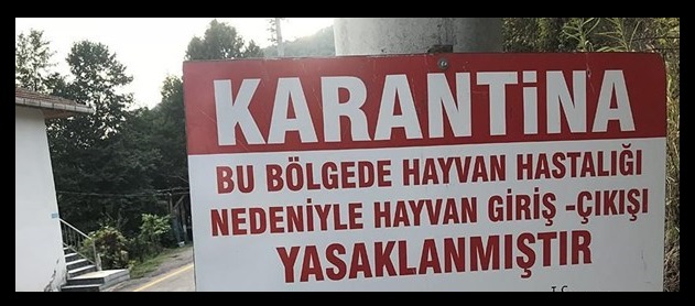 TUNCELİ’DE ŞARBON KARANTİNASI