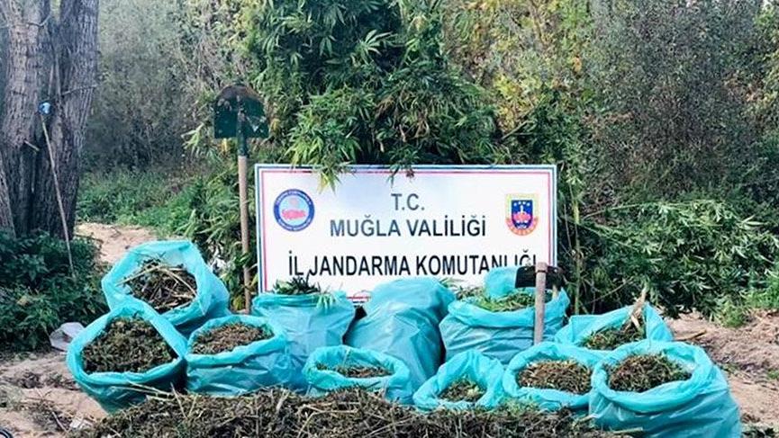MUĞLA’DA 119 KİLO ESRAR ELE GEÇİRİLDİ