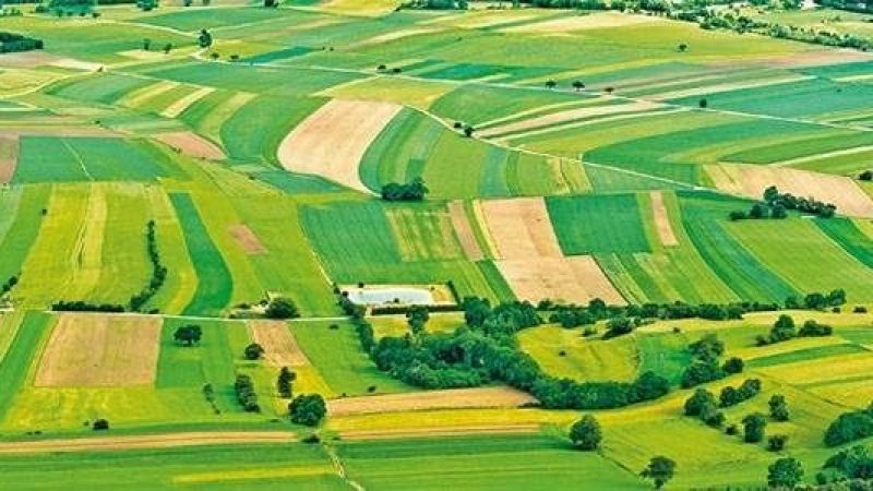 TÜRK ÇİFTÇİSİ YÜZDE 50 FAKİRLEŞTİ!