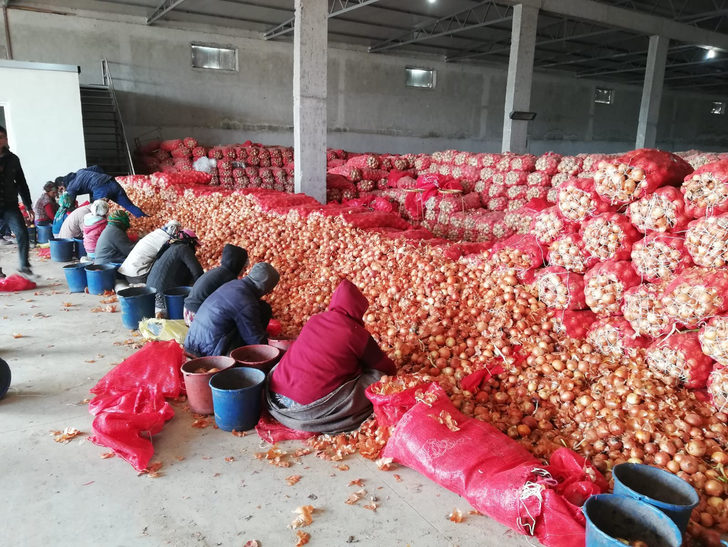 BAKANLIK STOKÇULARIN PEŞİNE DÜŞTÜ