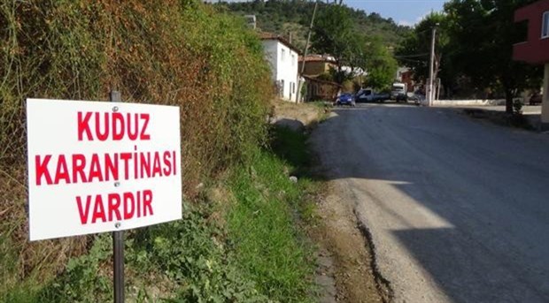 BALIKESİR BURHANİYE’DE KUDUZ KARANTİNASI