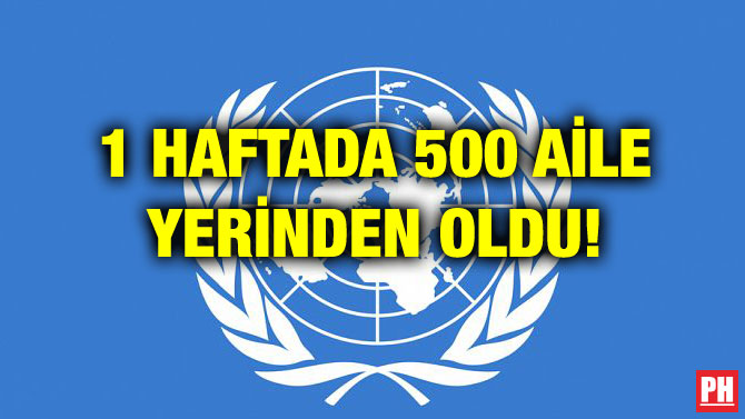 1 HAFTADA 500 AİLE YERİNDEN OLDU!