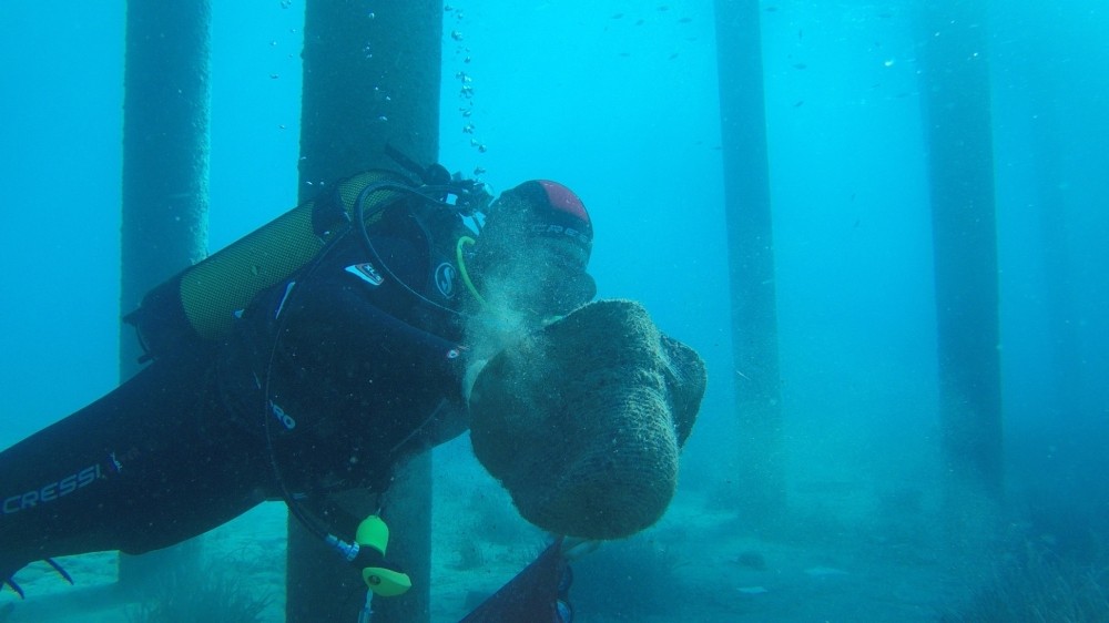 MUĞLA’NIN BODRUM İLÇESİNDE BELEDİYE DALGIÇLARI, 2 SAATTE 235 KİLOGRAM ÇÖP ÇIKARDI