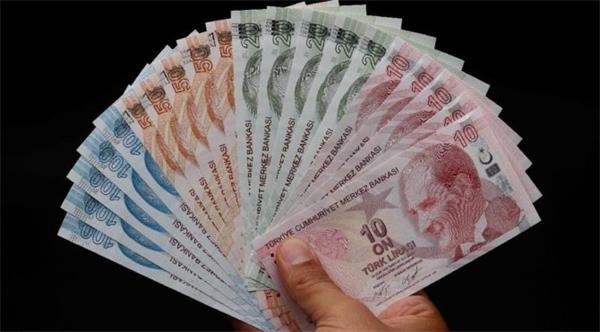 MUDİ SAYISINDA ARTIŞ VAR