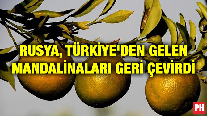 RUSYA, TÜRKİYE’DEN GELEN MANDALİNALARI GERİ ÇEVİRDİ