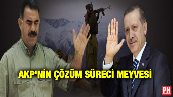AKP’NİN ÇÖZÜM SÜRECİ MEYVESİ