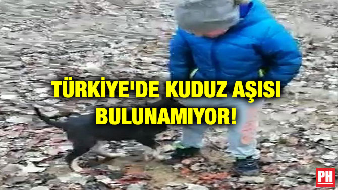 TÜRKİYE’DE KUDUZ AŞISI BULUNAMIYOR!