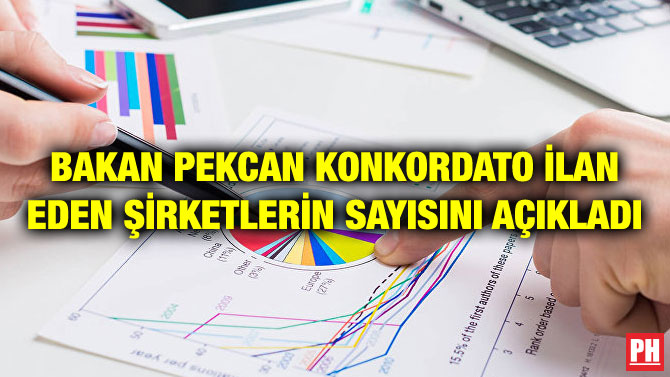 BAKAN PEKCAN KONKORDATO İLAN EDEN ŞİRKETLERİN SAYISINI AÇIKLADI