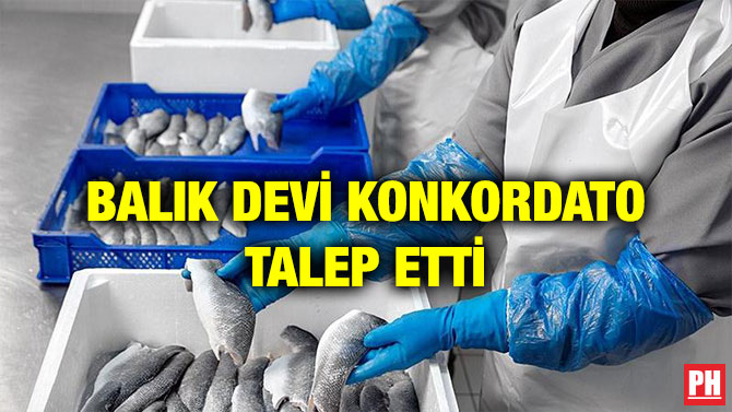 BALIK DEVİ KONKORDATO TALEP ETTİ