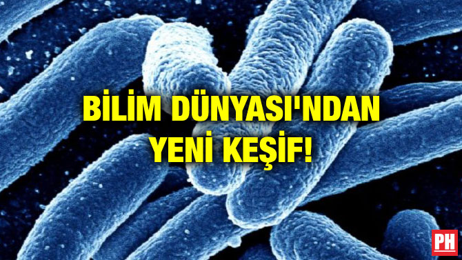 BİLİM DÜNYASI’NDAN YENİ KEŞİF!