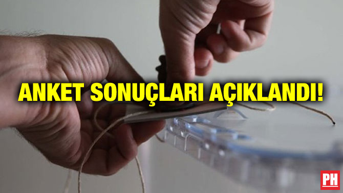 ANKET SONUÇLARI AÇIKLANDI!