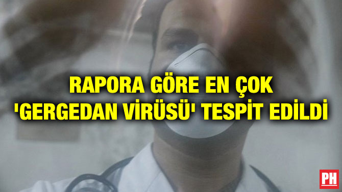 RAPORA GÖRE EN ÇOK ‘GERGEDAN VİRÜSÜ’ TESPİT EDİLDİ