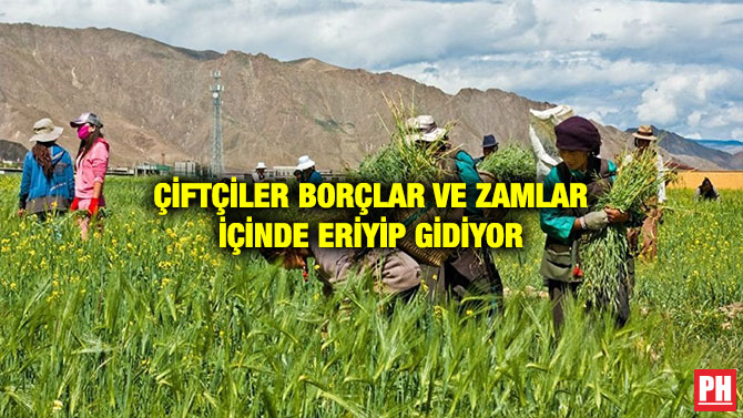 ÇİFTÇİLER BORÇLAR VE ZAMLAR İÇİNDE ERİYİP GİDİYOR