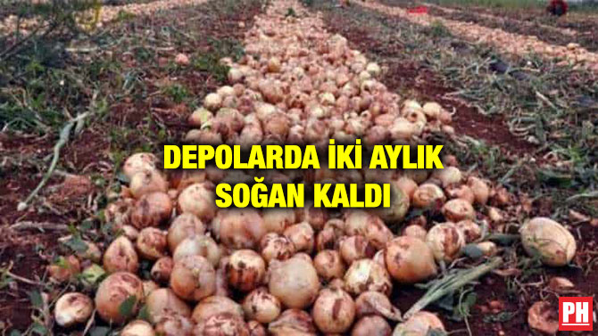 DEPOLARDA İKİ AYLIK SOĞAN KALDI