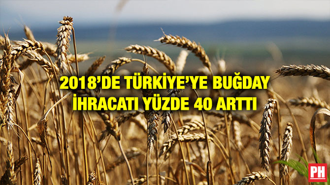 2018’DE TÜRKİYE’YE BUĞDAY İHRACATI YÜZDE 40 ARTTI