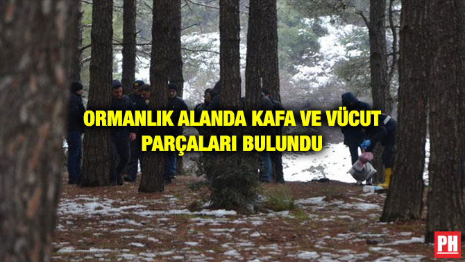 ORMANLIK ALANDA KAFA VE VÜCUT PARÇALARI BULUNDU