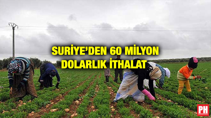 SURİYE’DEN 60 MİLYON DOLARLIK İTHALAT