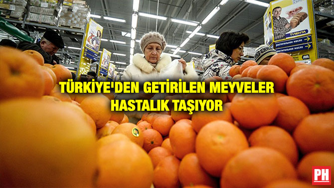 TÜRKİYE’DEN GETİRİLEN MEYVELER HASTALIK TAŞIYOR