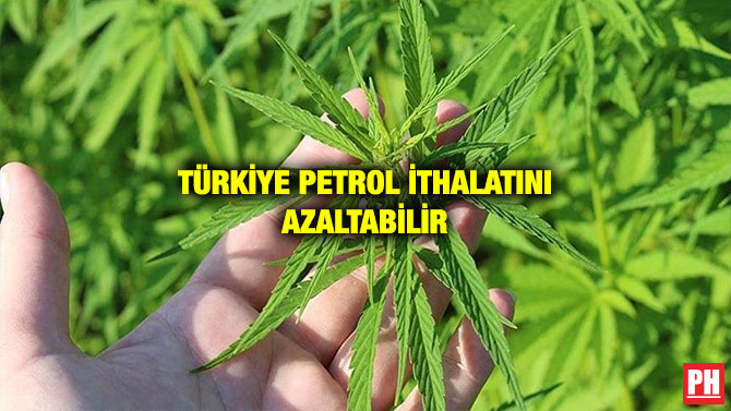 TÜRKİYE PETROL İTHALATINI AZALTABİLİR