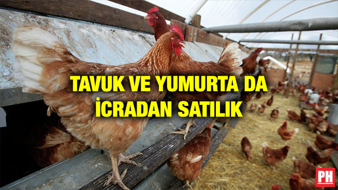 TAVUK VE YUMURTA DA İCRADAN SATILIK