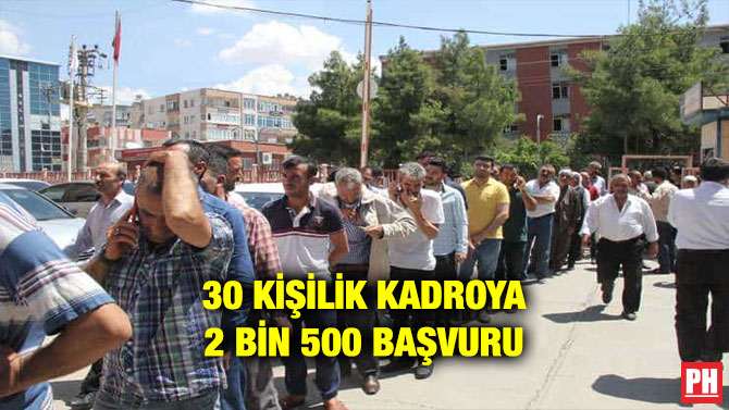 30 KİŞİLİK KADROYA 2 BİN 500 BAŞVURU