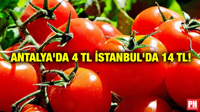 ANTALYA’DA 4 TL İSTANBUL’DA 14 TL!