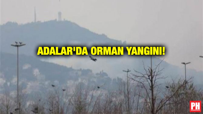 ADALAR’DA ORMAN YANGINI!