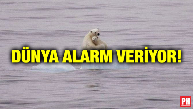 DÜNYA ALARM VERİYOR!