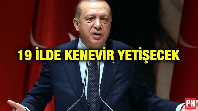 19 İLDE KENEVİR YETİŞECEK