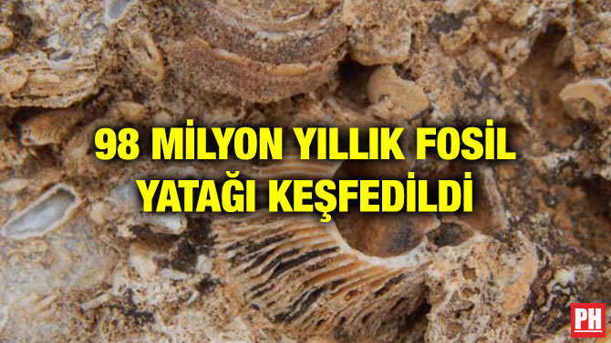 98 MİLYON YILLIK FOSİL YATAĞI KEŞFEDİLDİ