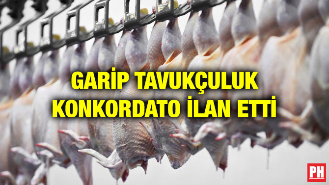 GARİP TAVUKÇULUK KONKORDATO İLAN ETTİ