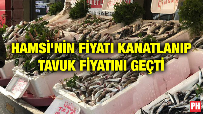 HAMSİ’NİN FİYATI KANATLANIP TAVUK FİYATINI GEÇTİ