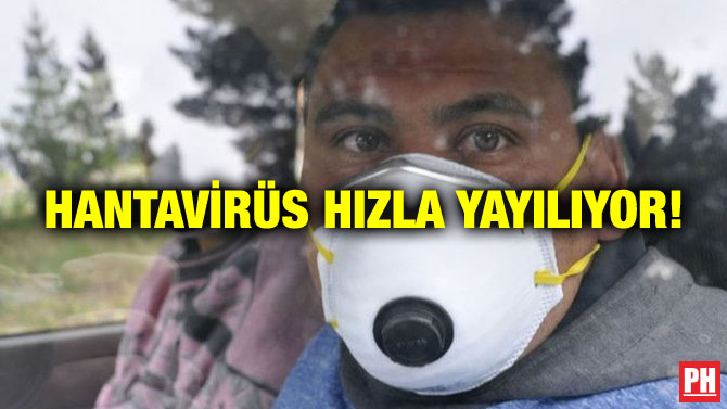 HANTAVİRÜS HIZLA YAYILIYOR!