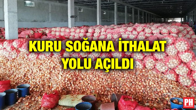 KURU SOĞANA İTHALAT YOLU AÇILDI