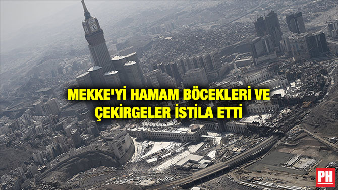 MEKKE’Yİ HAMAM BÖCEKLERİ VE ÇEKİRGELER İSTİLA ETTİ