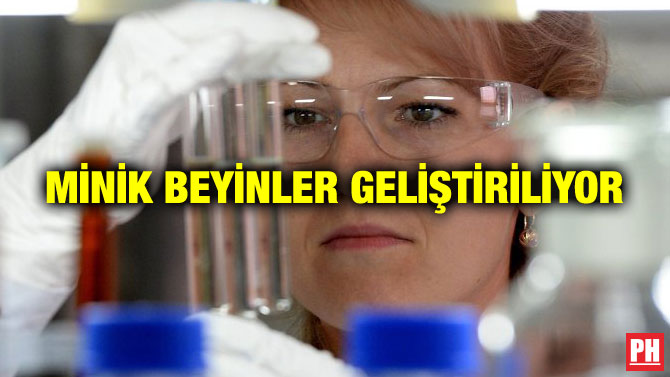 MİNİK BEYİNLER GELİŞTİRİLİYOR