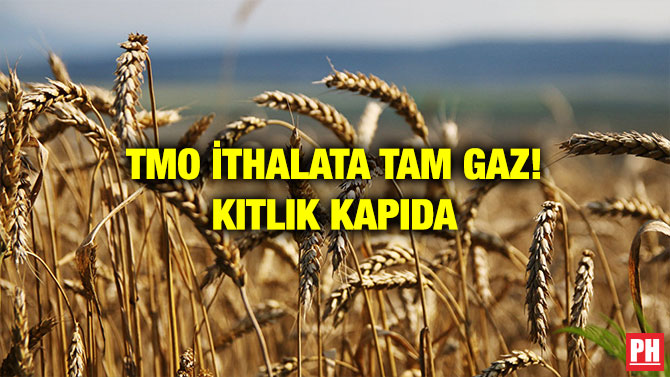 TMO İTHALATA TAM GAZ! KITLIK KAPIDA