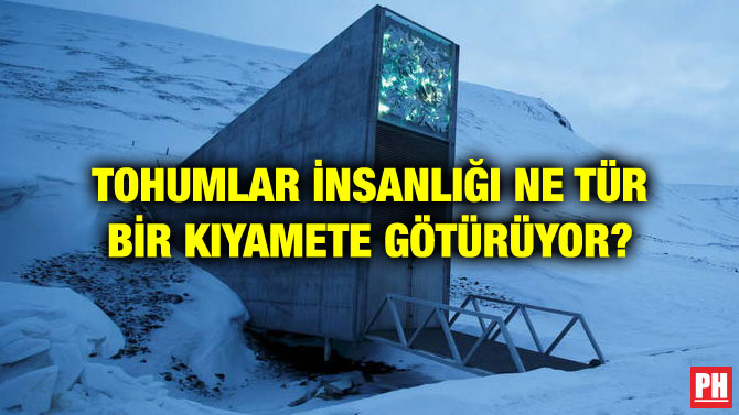 TOHUMLAR İNSANLIĞI NE TÜR BİR KIYAMETE GÖTÜRÜYOR?