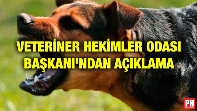 VETERİNER HEKİMLER ODASI BAŞKANI’NDAN AÇIKLAMA