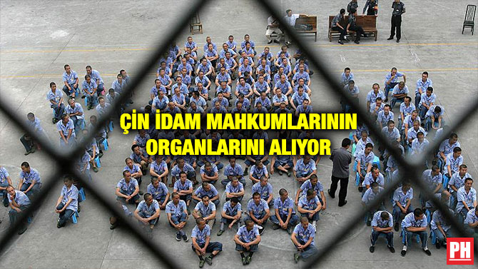 ÇİN İDAM MAHKUMLARININ ORGANLARINI ALIYOR